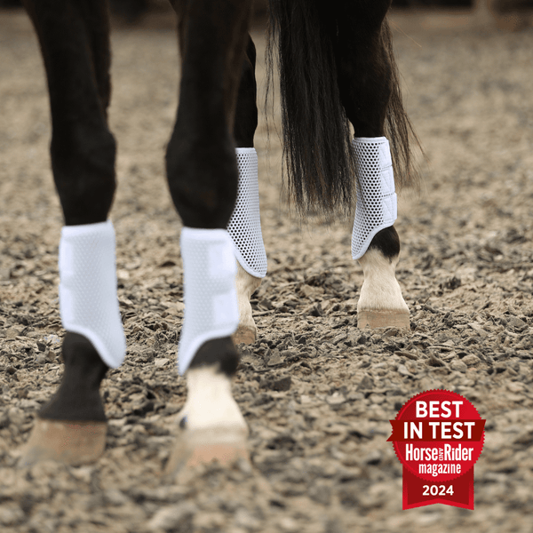 Horse wearing full set of Equilibrium Tri-Zone Brushing Boots in white