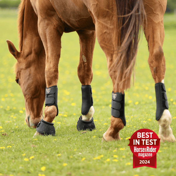 Horse turned out in Equilibrium Tri-Zone Brushing Boots in black