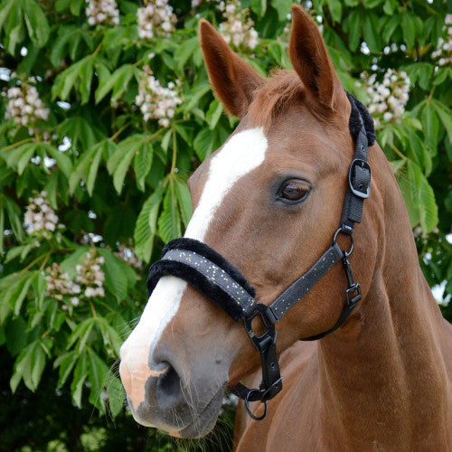 Horse wearing Hy Equestrian Dazzle Head Collar in Black Sparkle