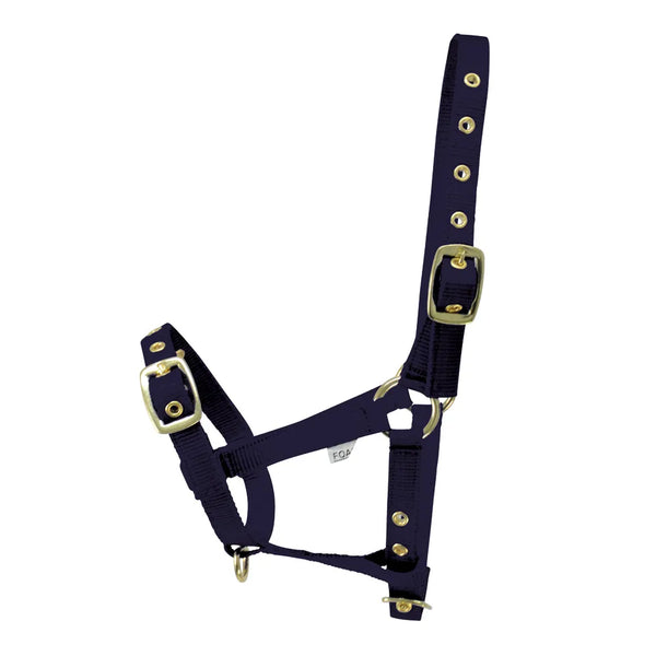 Hy Equestrian Foal Head Collar in Navy