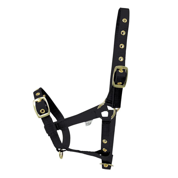 Hy Equestrian Foal Head Collar in Black