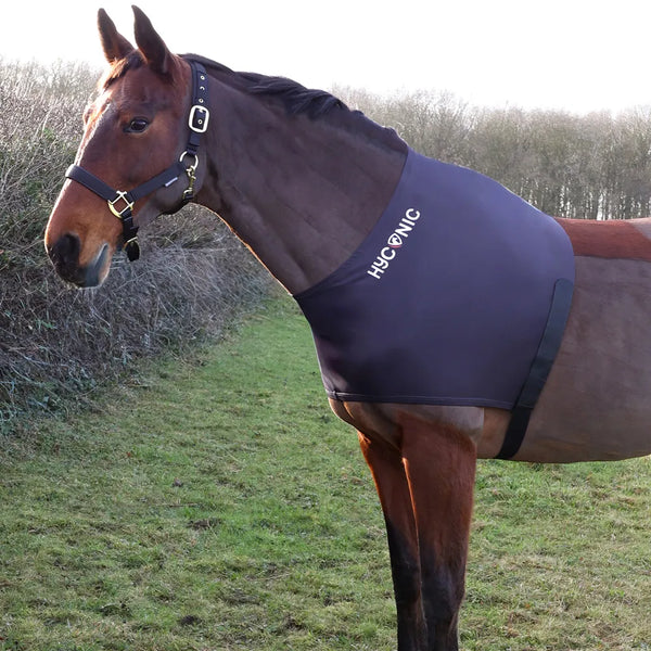 Horse wearing HyCONIC Lycra Shoulder Vest