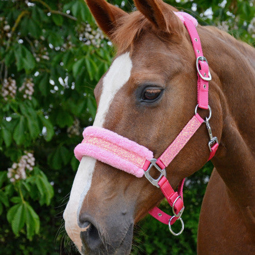 Horse wearing Hy Equestrian Dazzle Head Collar in Powder Pink