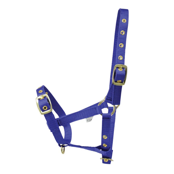 Hy Equestrian Foal Head Collar in Blue