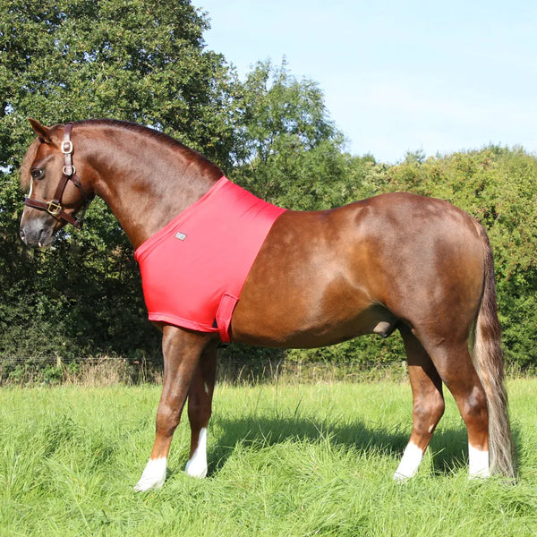 Horse wearing Supreme Products Lycra Vest