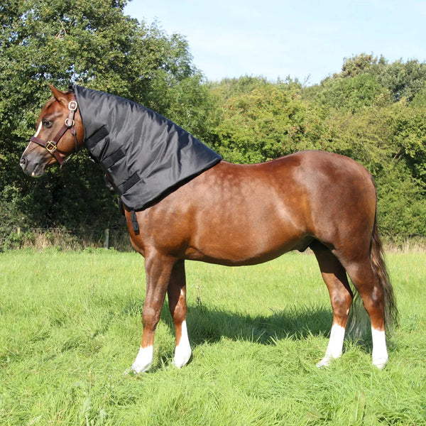 Horse wearing Supreme Products Neck Sweat