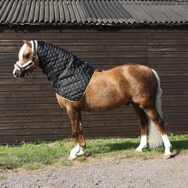 Horse wearing Supreme Products Show Quilted Hood
