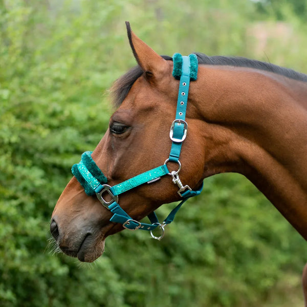 Horse wearing Hy Equestrian Dazzle Head Collar in Alpine Green