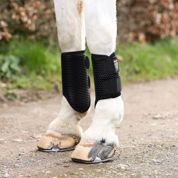 Horse wearing Equilibrium Tri-Zone Brushing Boots in black