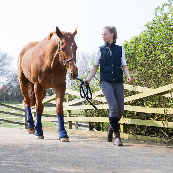 Horse being lead to field wearing Equilibrium Equi-Chaps Hardy Chaps
