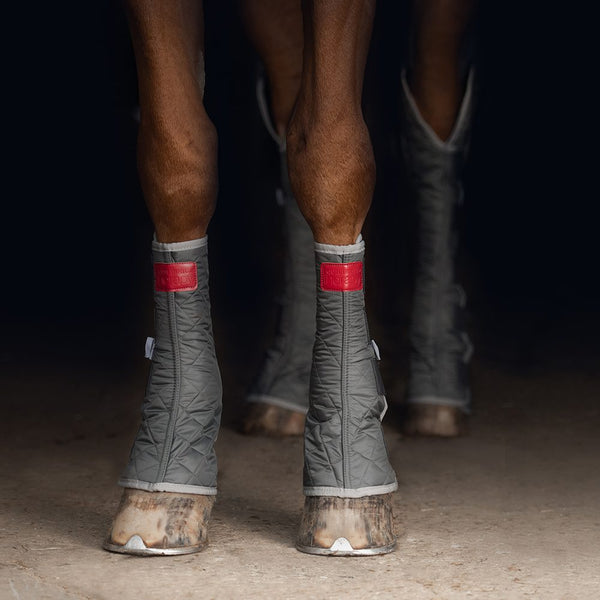 Horse wearing set of Equilibrium Magnetic Hind and Hock Chaps