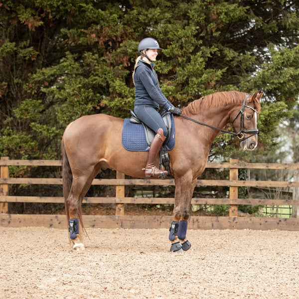 Horse wearing Equilibrium Tri-Zone All Sports Boot in Navy