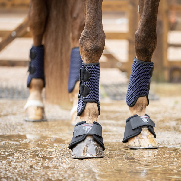 Horse wearing full set of Equilibrium Tri-Zone All Sports Boot in Navy