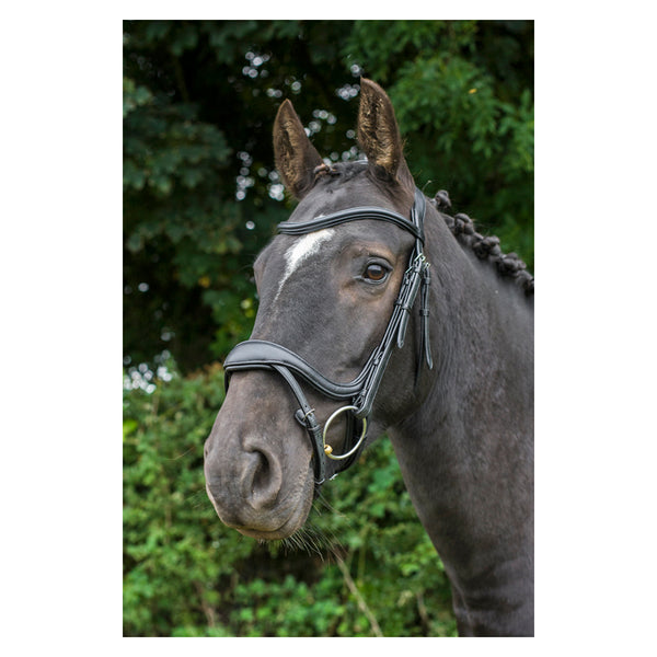 EcoRider Ecosoft Enigma Bridle