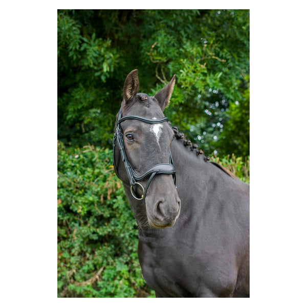 EcoRider Ecosoft Enigma Bridle