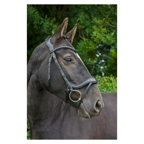 EcoRider Ecosoft Enigma Bridle