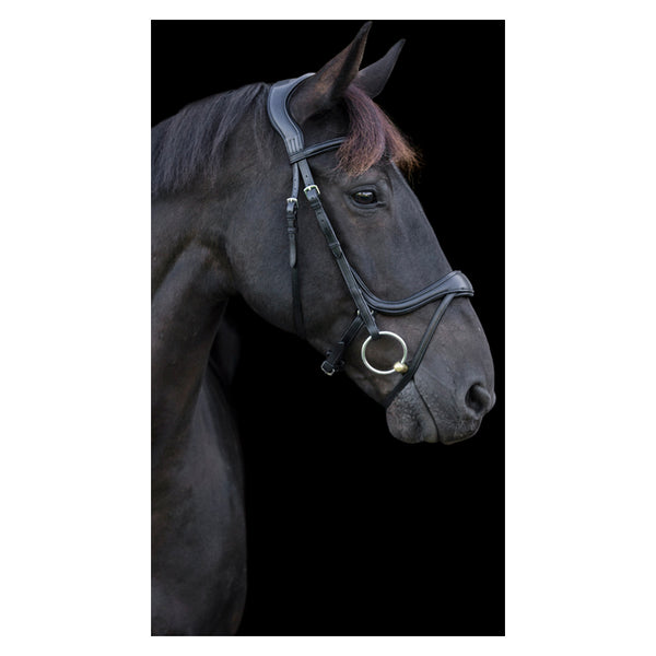 EcoRider Ecosoft Enigma Bridle