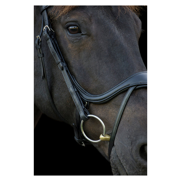 EcoRider Ecosoft Enigma Bridle