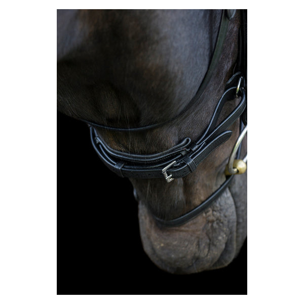 EcoRider Ecosoft Enigma Bridle