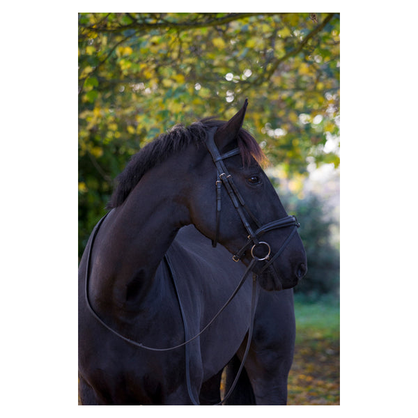 EcoRIder Ecosoft Luxe Bridle