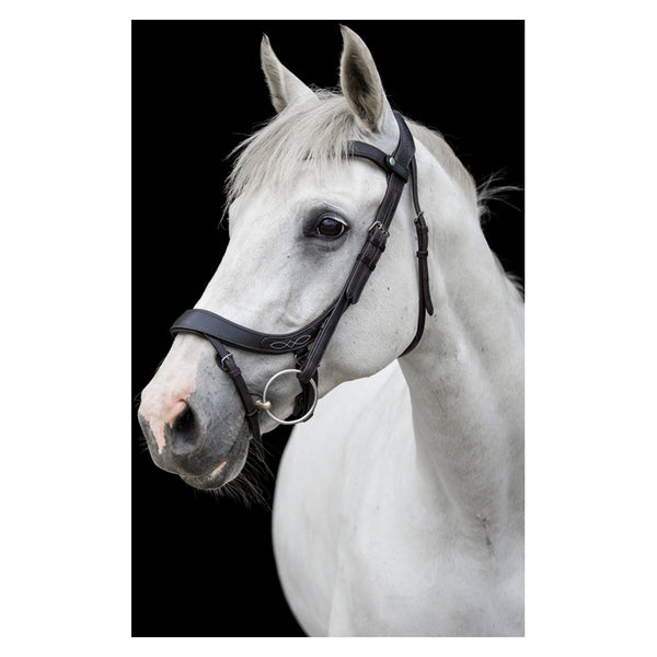 EcoRider Freedom Comfort Bridle