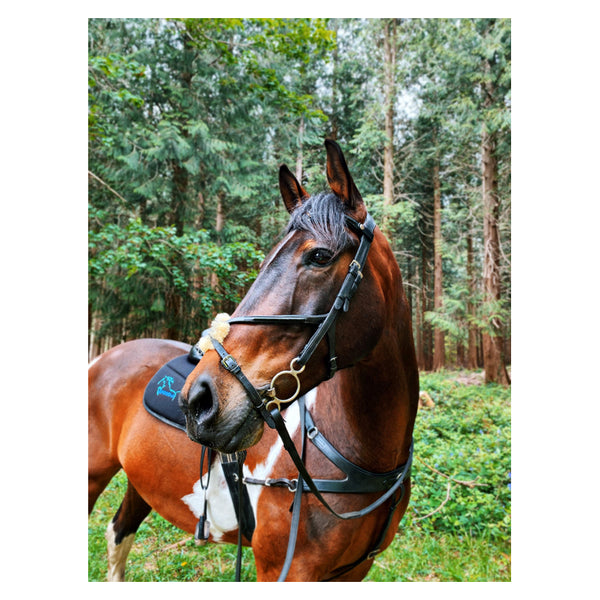 EcoRider Freedom Grackle Bridle