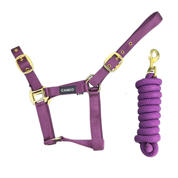 Cameo Supreme Headcollar with matching Rope in aubergine