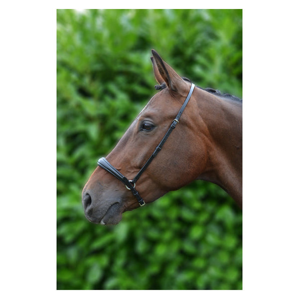 Horse wearing Hy Equestrian Padded Drop Nose Band in black