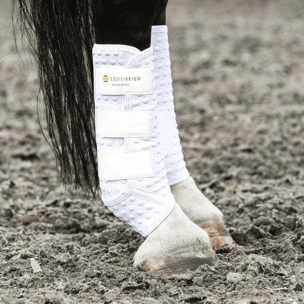 Equilibrium Stretch & Flex Training Wraps on hindlimbs in white