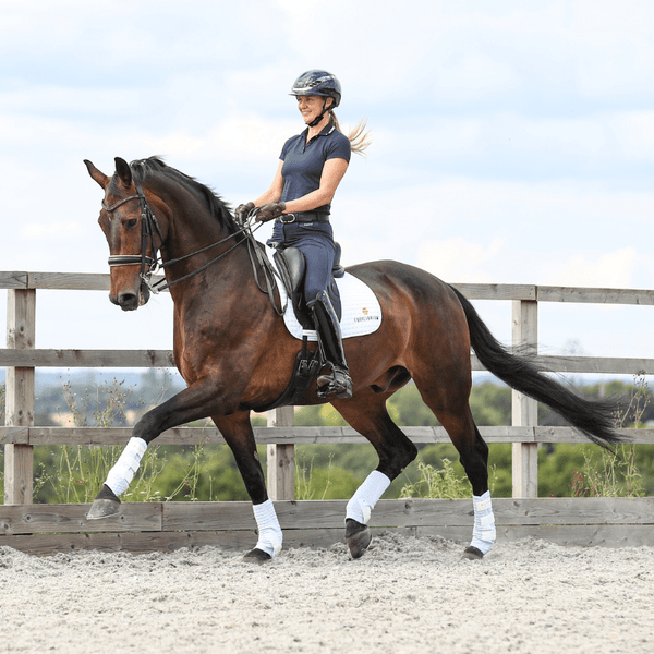 Horse wearing Equilibrium Stretch & Flex Training Wraps in white