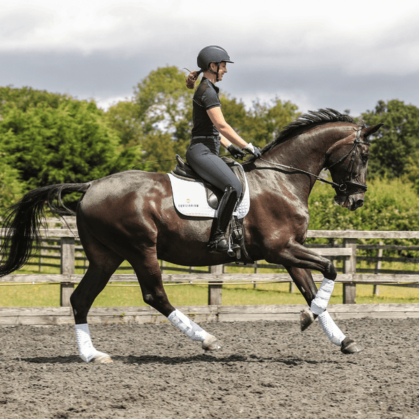 Horse cantering in Equilibrium Stretch & Flex Training Wraps in white