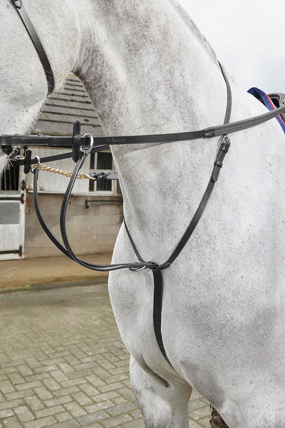 Horse wearing Whitaker Lynton Running Martingale in Black