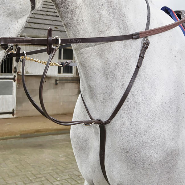 Horse wearing Whitaker Lynton Running Martingale in Havana