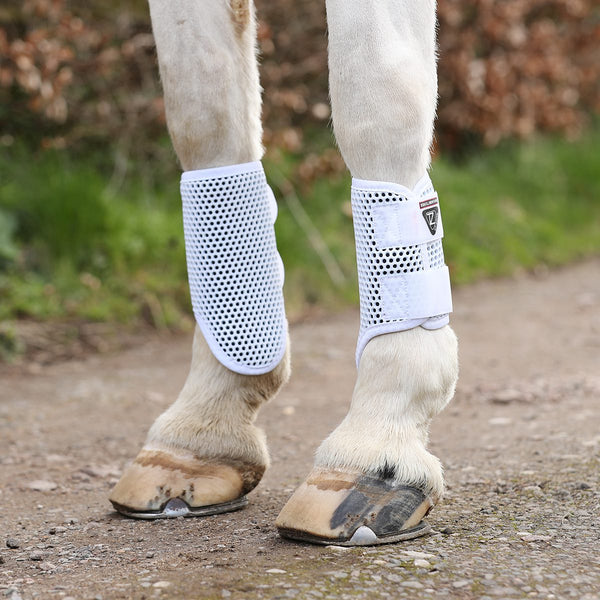 Horse wearing Equilibrium Tri-Zone Brushing Boots in white