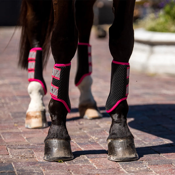 Horse wearing Equilibrium Tri-Zone Brushing Boots in Black and Pink