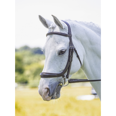 Velociti RAPIDA Ergonomic Curved Cavesson Bridle