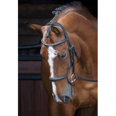 Velociti RAPIDA Rolled Padded Cavesson Bridle