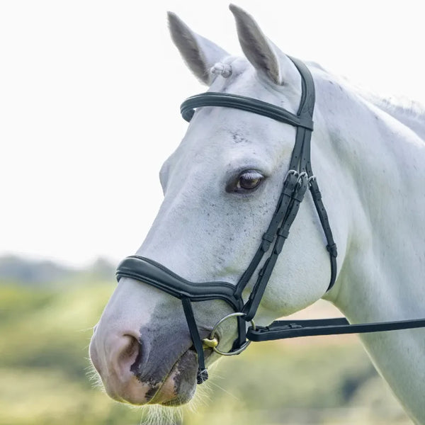 Velociti Rapida Ergonomic Flash Bridle