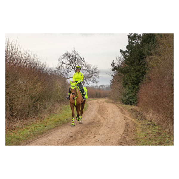 Horse wearing Reflector Ear Bonnet by Hy Equestrian in yellow with matching hi-viz