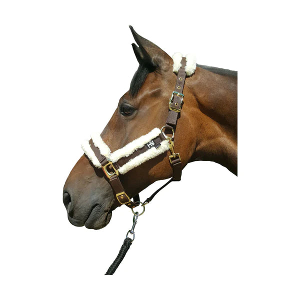 Horse wearing Faux Sheepskin Head Collar in brown