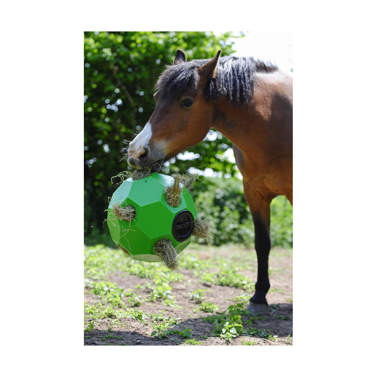 PARALLAX PLASTICS - Balle à foin Hay Play - Paddock Animal