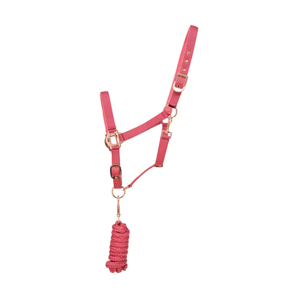 HY Rose Gold Head Collar & Leadrope in blush
