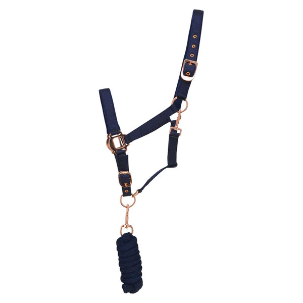 HY Rose Gold Head Collar & Leadrope in navy