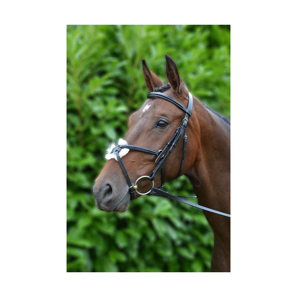 Horse wearing Hy Equestrian Mexican Bridle with Rubber Grip Reins in black