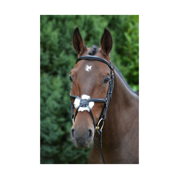 Front view of horse wearing Hy Equestrian Mexican Bridle with Rubber Grip Reins in black