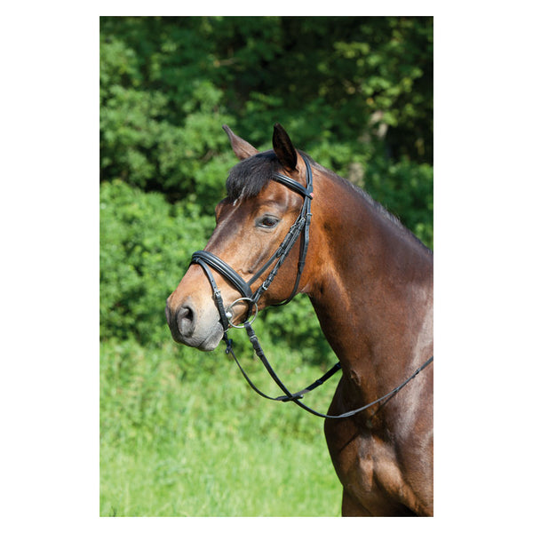 Kieffer Ergonomic Line Snaffle Bridle