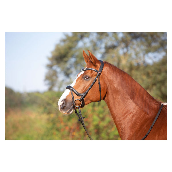 Kieffer Ultrasoft Amy Snaffle Bridle