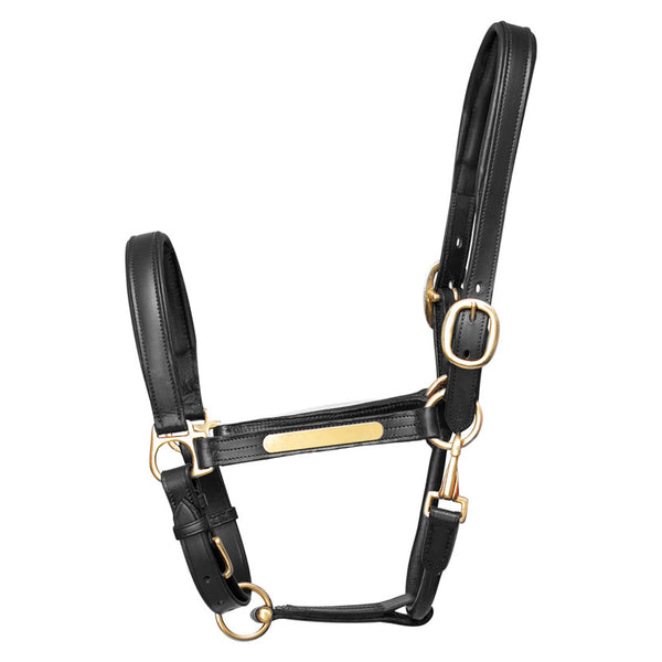 Hy Equestrian Leather Head Collar in black