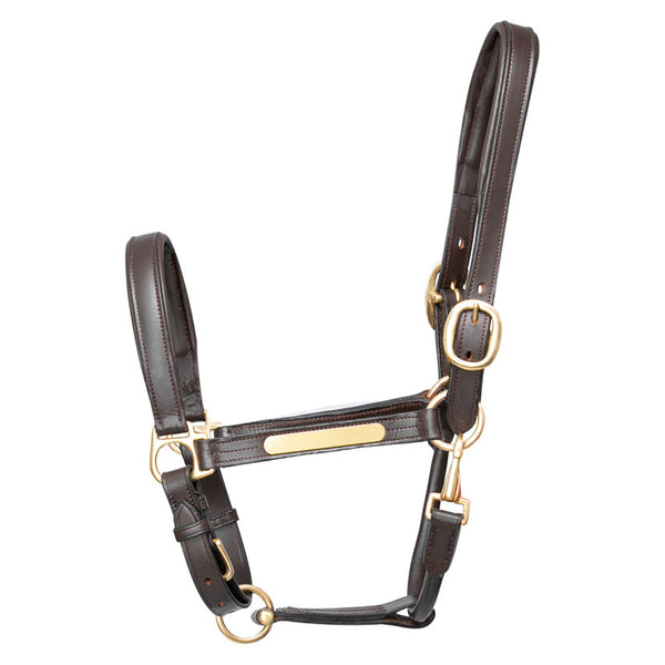 Hy Equestrian Leather Head Collar in brown