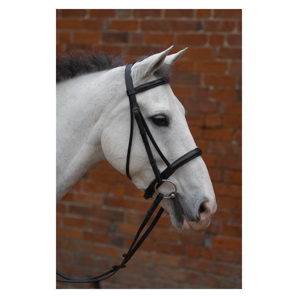 Hy Equestrian Padded Cavesson Bridle with Rubber Grip Reins